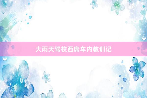 大雨天驾校西席车内教训记